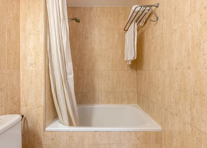 Basic 2* 欧拉多拉